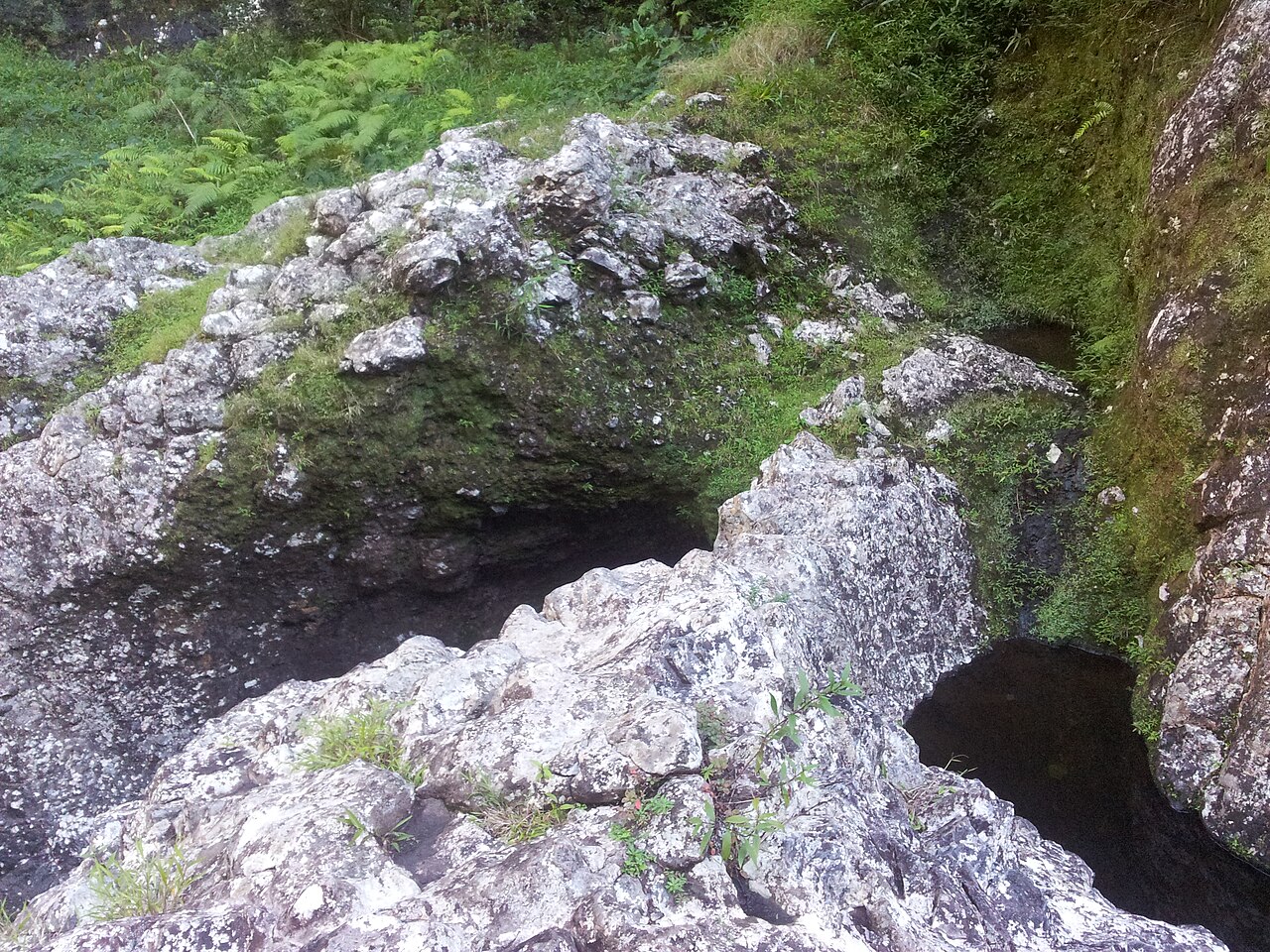 Arrête a franchir pour atteindre la cascade panoramio